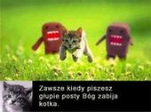 Awatar użytkownika